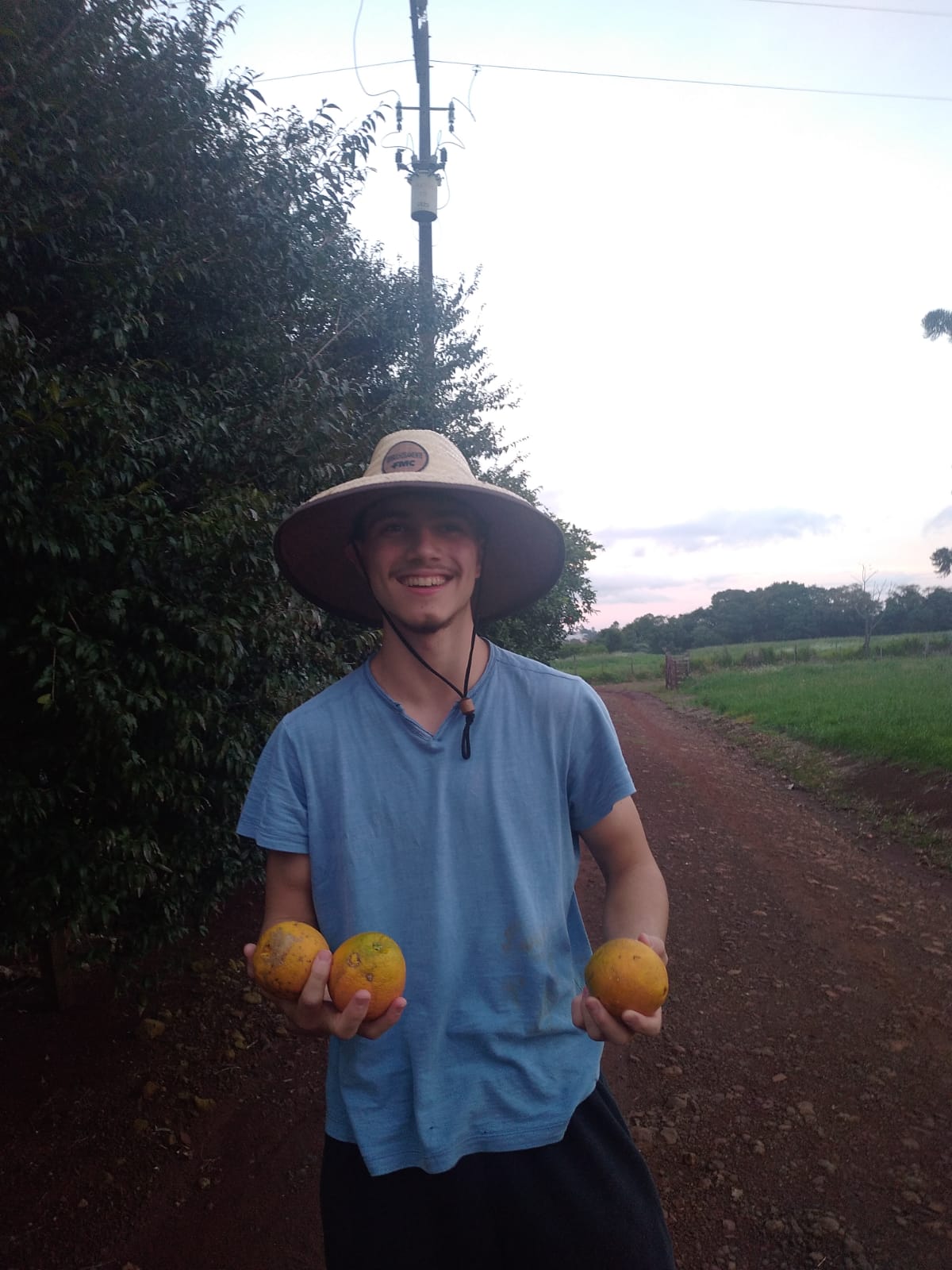 Produção agrícola