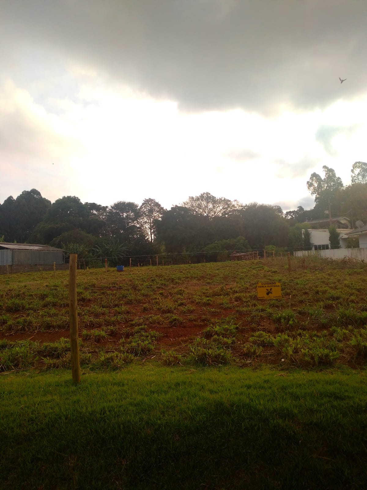 Produção Rural