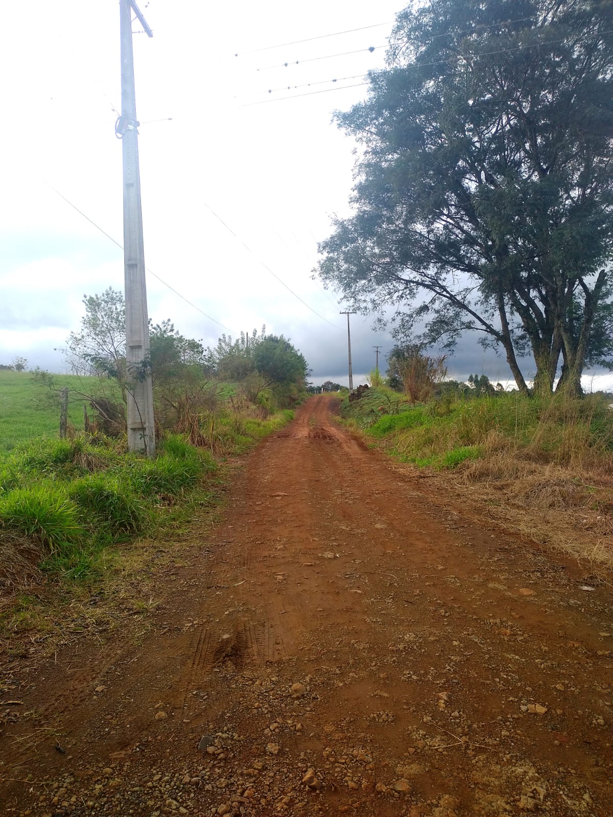 Produção Rural