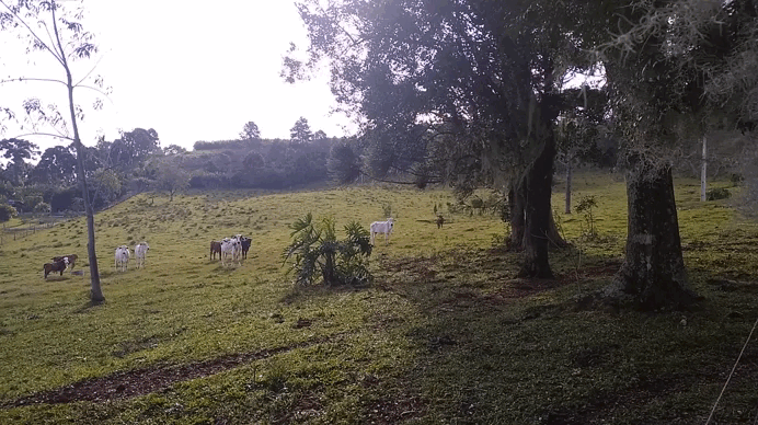 GIF 2